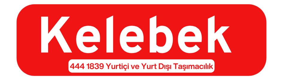 Başakşehir Evden Eve Nakliyat